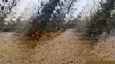 Lake Thunderhead Lot in Unionville, Missouri For Sale - image 13