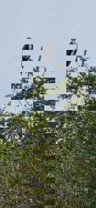 23 H Beachfront Development Land for Sale | El Palmar San Carlos - image 18