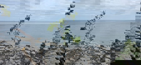 23 H Beachfront Development Land for Sale | El Palmar San Carlos - image 26