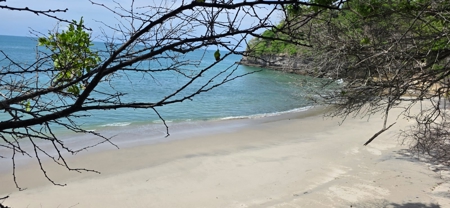 23 H Beachfront Development Land for Sale | El Palmar San Carlos - image 37