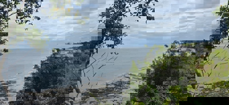 23 H Beachfront Development Land for Sale | El Palmar San Carlos - image 22