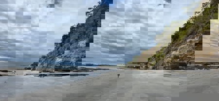 23 H Beachfront Development Land for Sale | El Palmar San Carlos - image 4