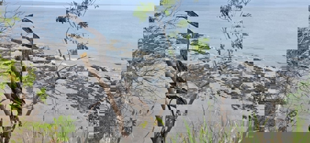 23 H Beachfront Development Land for Sale | El Palmar San Carlos - image 24