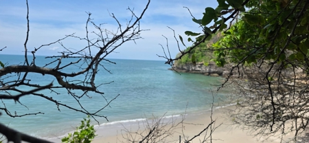23 H Beachfront Development Land for Sale | El Palmar San Carlos - image 38