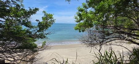 23 H Beachfront Development Land for Sale | El Palmar San Carlos - image 35