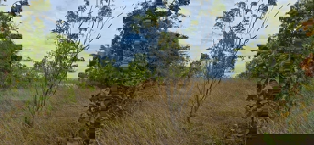 23 H Beachfront Development Land for Sale | El Palmar San Carlos - image 15