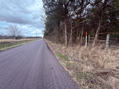 65 East Texas Wooded Acres - Winnsboro Hopkins County - Pond - image 2