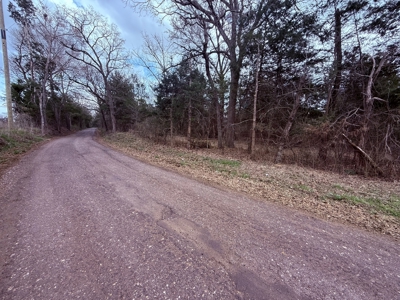 65 East Texas Wooded Acres - Winnsboro Hopkins County - Pond - image 15