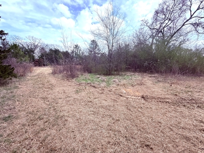 65 East Texas Wooded Acres - Winnsboro Hopkins County - Pond - image 8