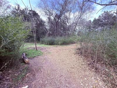 65 East Texas Wooded Acres - Winnsboro Hopkins County - Pond - image 5