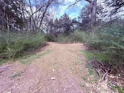 65 East Texas Wooded Acres - Winnsboro Hopkins County - Pond - image 6