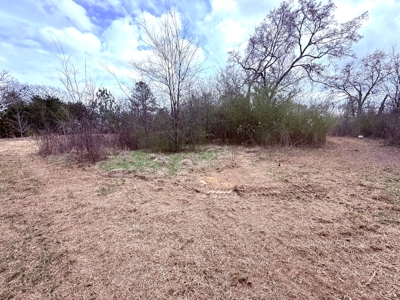 65 East Texas Wooded Acres - Winnsboro Hopkins County - Pond - image 7