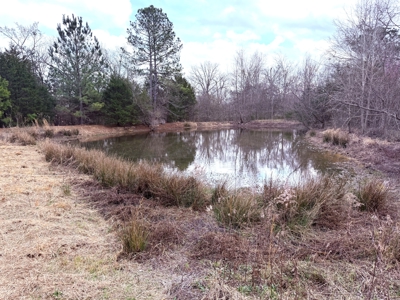 65 East Texas Wooded Acres - Winnsboro Hopkins County - Pond - image 3