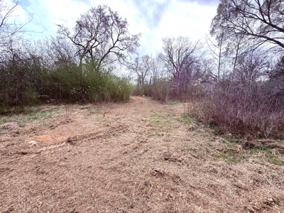 65 East Texas Wooded Acres - Winnsboro Hopkins County - Pond - image 9
