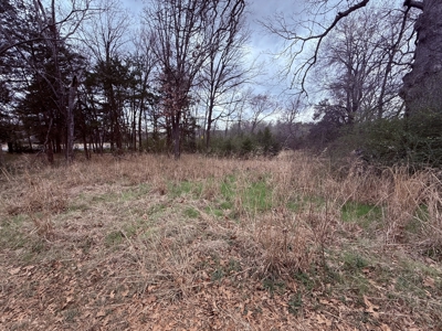 65 East Texas Wooded Acres - Winnsboro Hopkins County - Pond - image 11