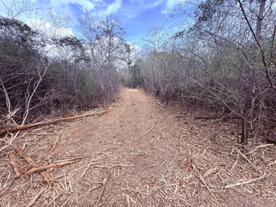 65 East Texas Wooded Acres - Winnsboro Hopkins County - Pond - image 10