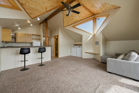 Ridgway Mountain View Home on River with ADU For Sale - image 25