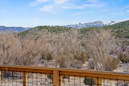 Ridgway Mountain View Home on River with ADU For Sale - image 37