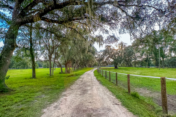 Peaceful 18-Acre Equestrian Estate in Williston, Florida for Sale