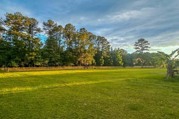 Peaceful 18-Acre Equestrian Estate in Williston, Florida for Sale