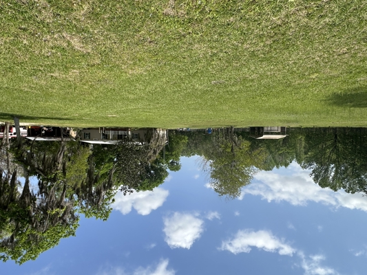 Peaceful 18-Acre Equestrian Estate in Williston, Florida for Sale