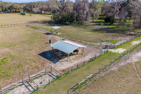 Peaceful 18-Acre Equestrian Estate in Williston, Florida for Sale