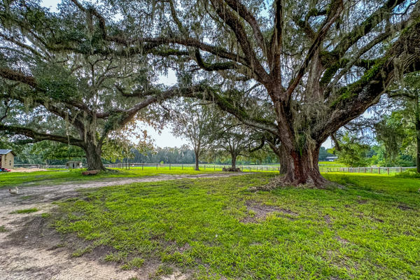 Peaceful 18-Acre Equestrian Estate in Williston, Florida for Sale