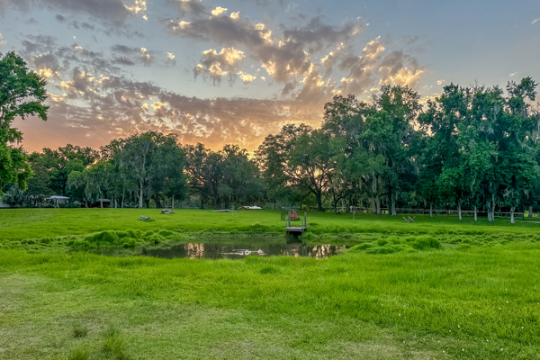 Peaceful 18-Acre Equestrian Estate in Williston, Florida for Sale