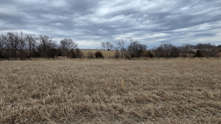57 Acres With Home And Shop - image 39