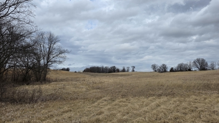 57 Acres With Home And Shop - image 49