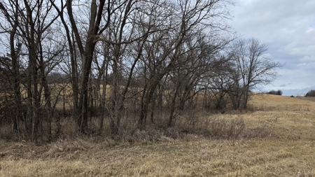 57 Acres With Home And Shop - image 50