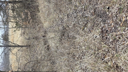 57 Acres With Home And Shop - image 47