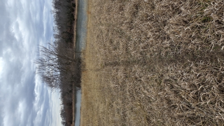 57 Acres With Home And Shop - image 37