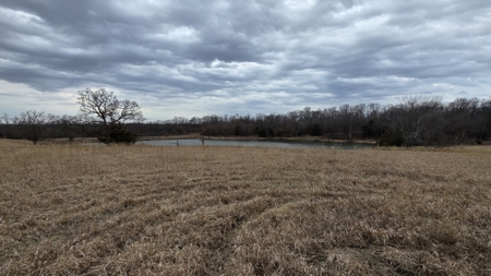 57 Acres With Home And Shop - image 40