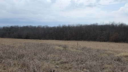 57 Acres With Home And Shop - image 34