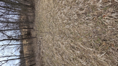 57 Acres With Home And Shop - image 45