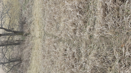 57 Acres With Home And Shop - image 32