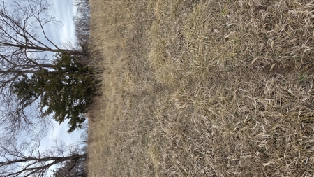 57 Acres With Home And Shop - image 38
