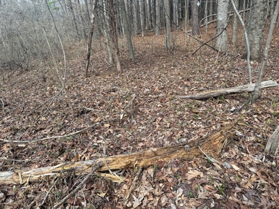 White Oak Mountain Oasis: 35 Acres of Boundless Privacy - image 25