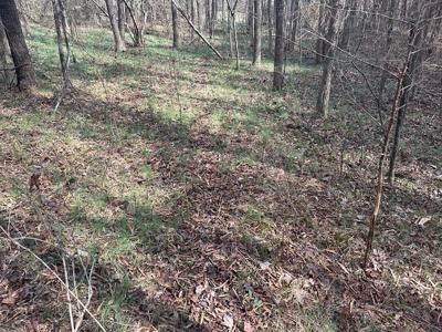 White Oak Mountain Oasis: 35 Acres of Boundless Privacy - image 35