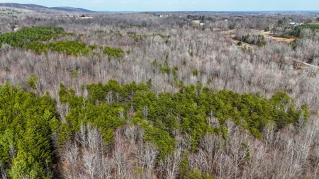 White Oak Mountain Oasis: 35 Acres of Boundless Privacy - image 5