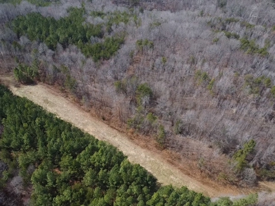 White Oak Mountain Oasis: 35 Acres of Boundless Privacy - image 44