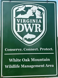 White Oak Mountain Oasis: 35 Acres of Boundless Privacy - image 38