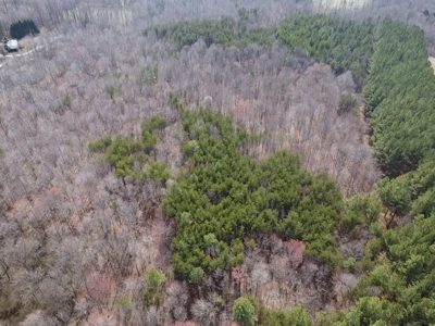 White Oak Mountain Oasis: 35 Acres of Boundless Privacy - image 40