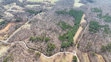 White Oak Mountain Oasis: 35 Acres of Boundless Privacy - image 2