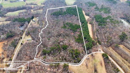 White Oak Mountain Oasis: 35 Acres of Boundless Privacy - image 46