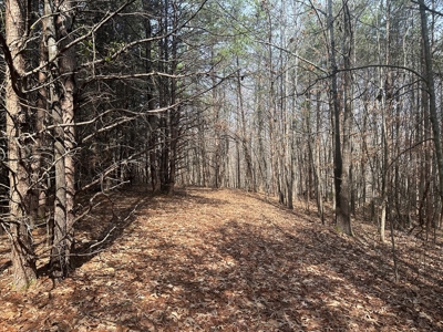 White Oak Mountain Oasis: 35 Acres of Boundless Privacy - image 33