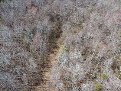 White Oak Mountain Oasis: 35 Acres of Boundless Privacy - image 43