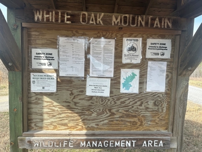 White Oak Mountain Oasis: 35 Acres of Boundless Privacy - image 37