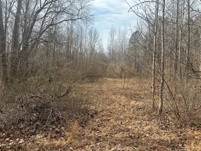 White Oak Mountain Oasis: 35 Acres of Boundless Privacy - image 7